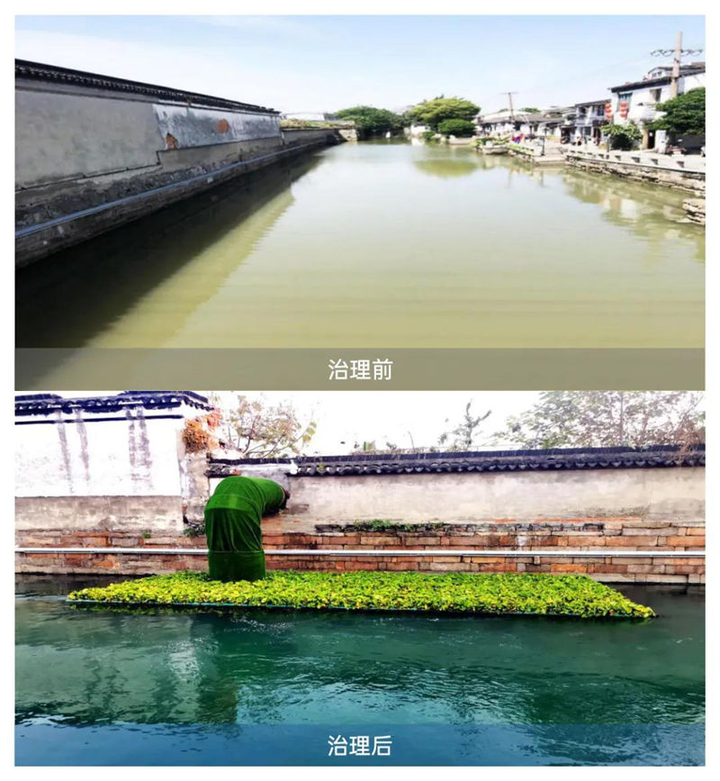 平江河獲獎-21.jpg